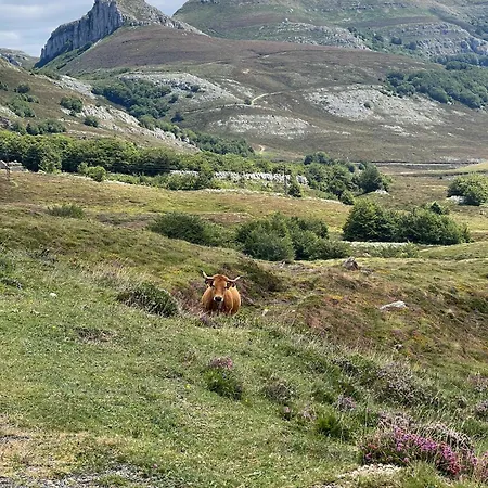 Palacio De Alvarado Hotel 3*
